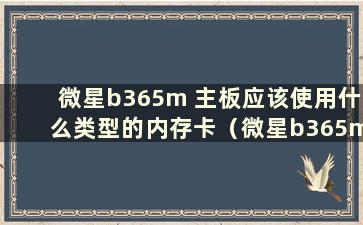 微星b365m 主板应该使用什么类型的内存卡（微星b365m 主板应该使用什么类型的内存卡）